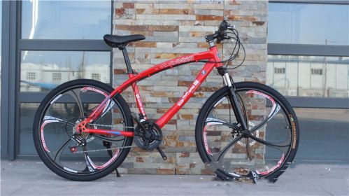 BMW Cross Country Mountain Bike Double Disc Brake (Option: Red-24inches by 15inches)